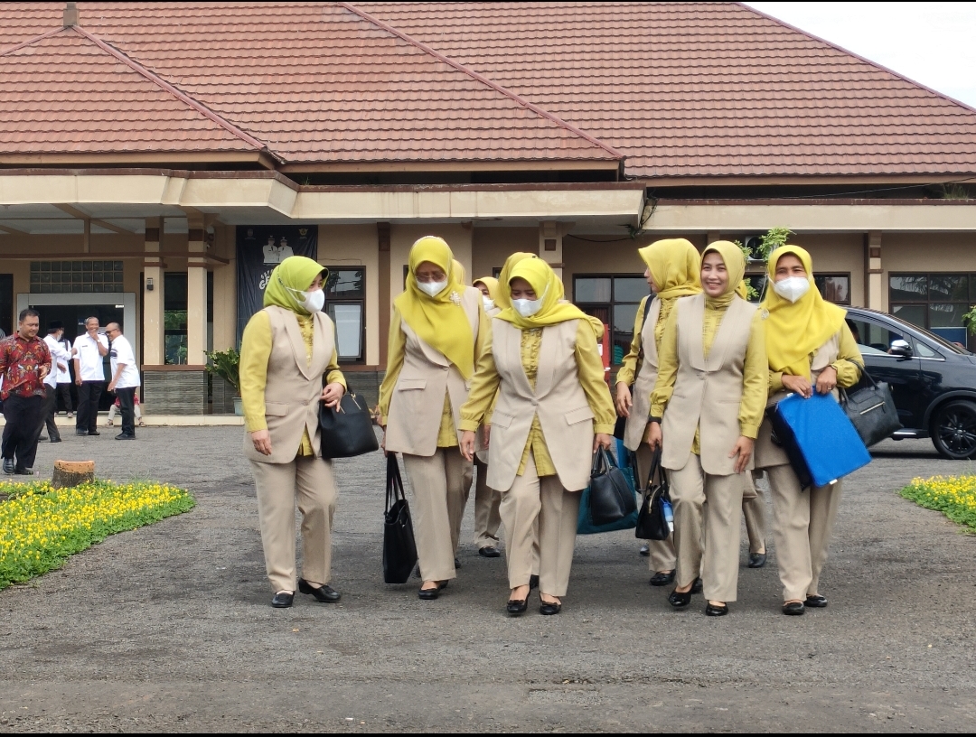 Kunjuangan Ibu Ketua TP PKK Kabupaten Ciamis dalam rangka BINWIL TP PKK Desa Cileungsir Kecamatan Rancah